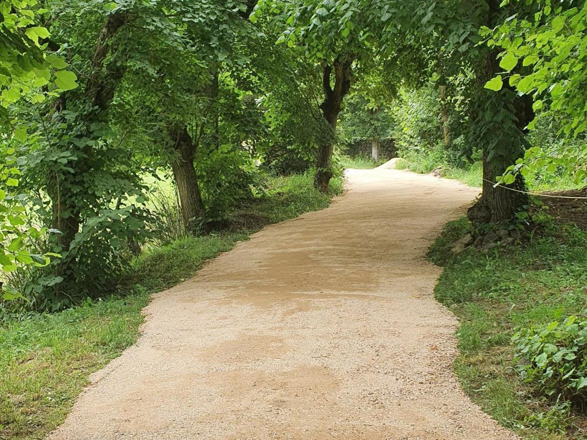 Gite Charmant Avec Terrasse Et Wifi Au Puy-En-Velay - Fr-1-582-331 Le Puy-en-Velay Kültér fotó